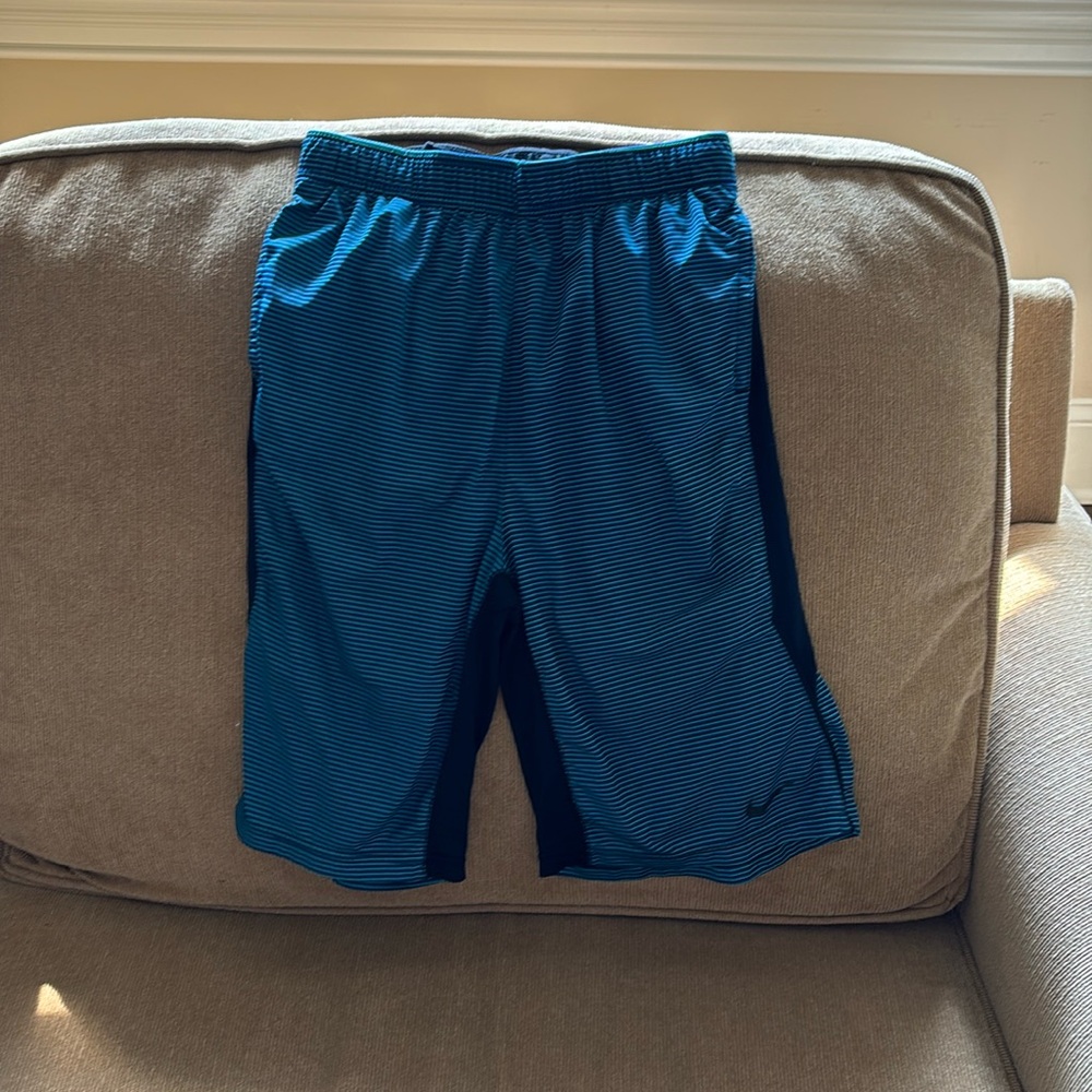hi i am selling size x-large nike shorts